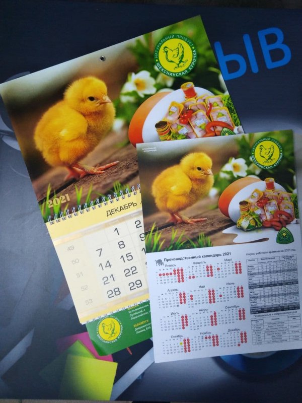 Плакатные и квартальные календари для Шекснинской птицефабрики