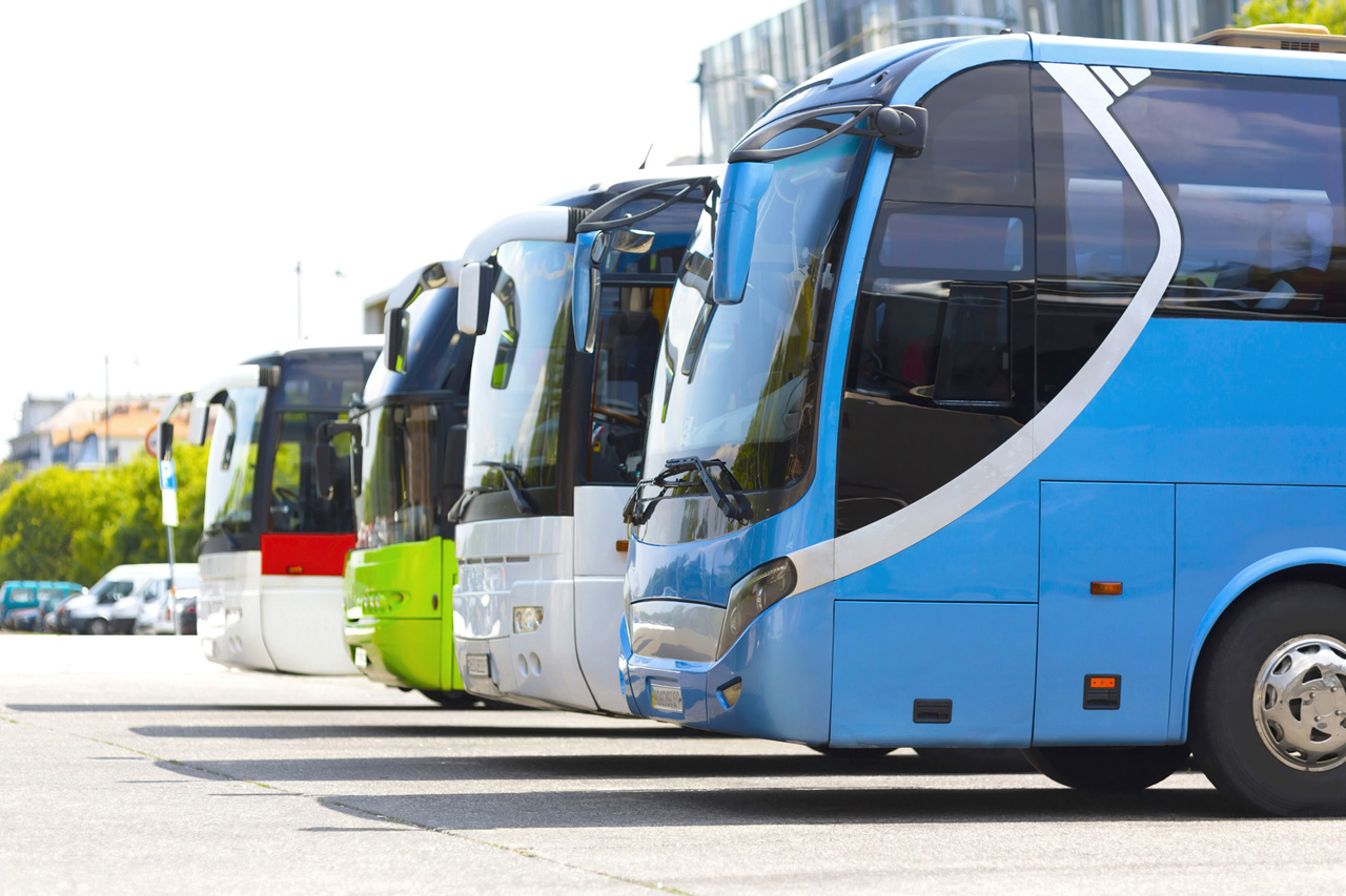 много автобусов картинки